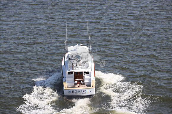 MEGABITE.MANTEO NC.04