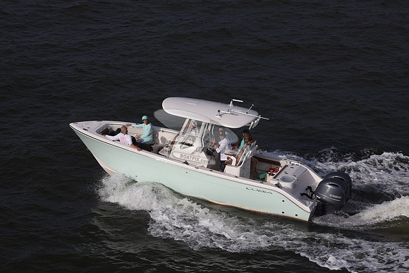 COBIA.LT BLUE HULL.336