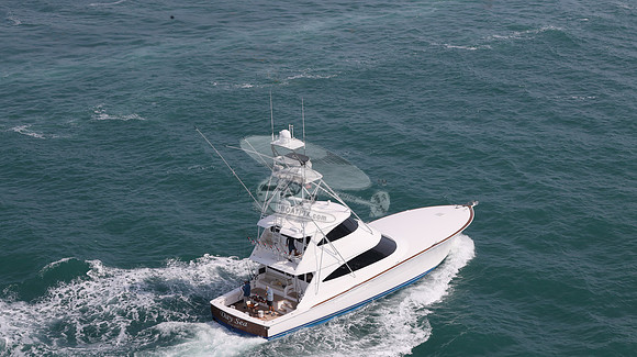 Day Sea.ocean Reef.14