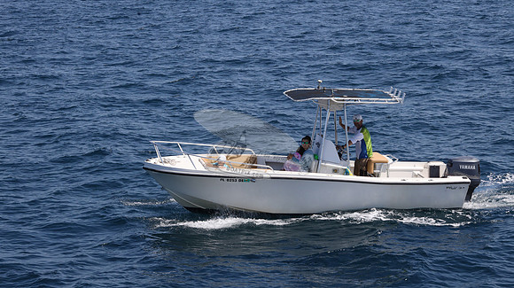 FL0253DE.14