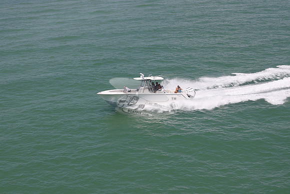 BEEP BEEP.SEAVEE.40