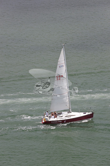 52.FLYING PIG.FL4122MM. 05