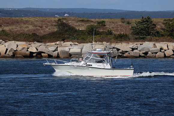 ms99909bn.09