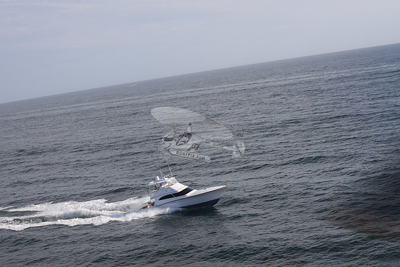 ABSOLUT PLEASURE.OCEAN CITY MD.22