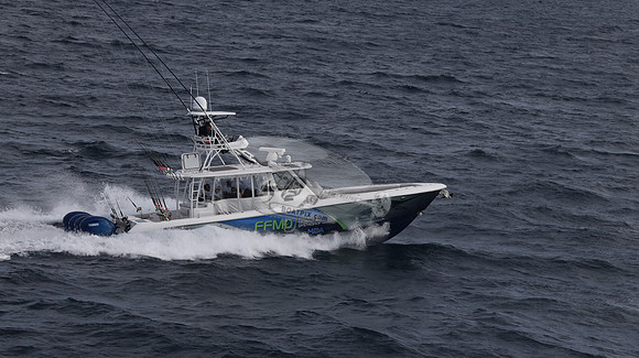 FFMD.EVERGLADES.4 YAMAHA BLUE.2822