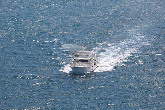 BLUE PEARL.KEY LARGO FL.24