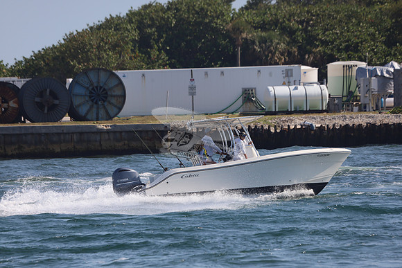 FL0139RV.26