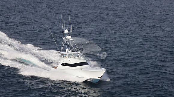 CHASIN TAIL.SINGER ISLAND.2962