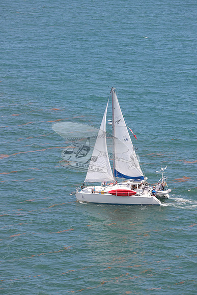 58.PDQ36.36