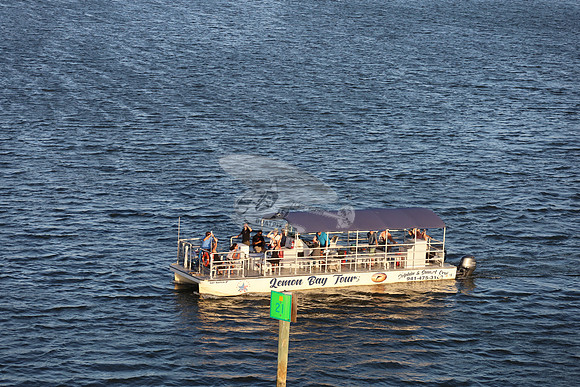 BAY WATCH.LEMON BAY TOURS..WOOD FL.03