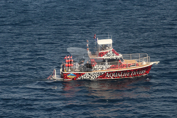 aqualife divers.3148