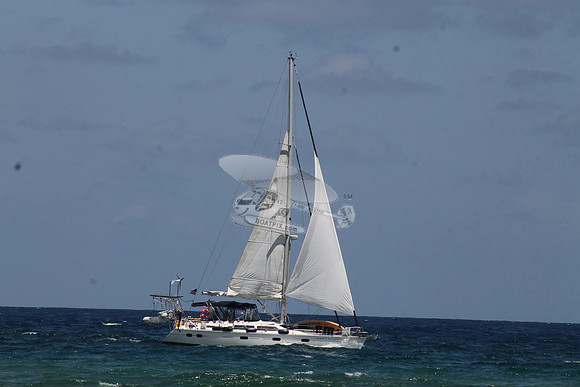 ANCHOR MANAGEMENT.15