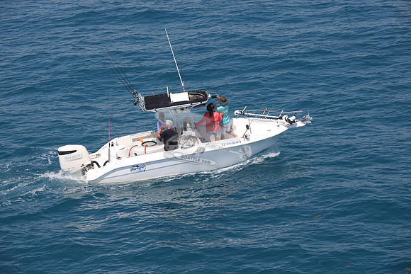 fl1436ka.12