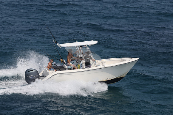 COBIA.WHITE.07