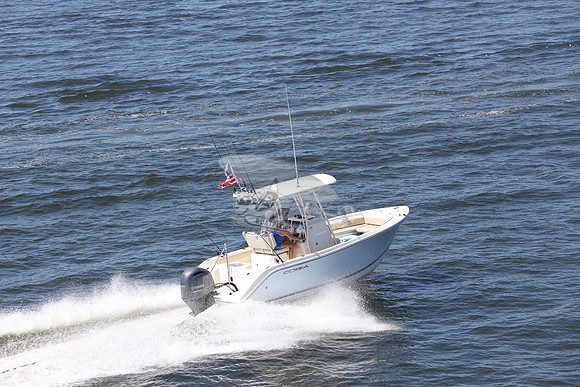 Cobia.yamaha 150. 06