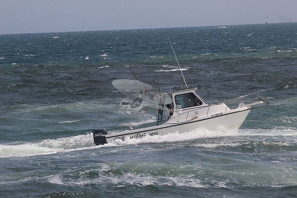 FL1964SV.PILLOW PRINCESS.4