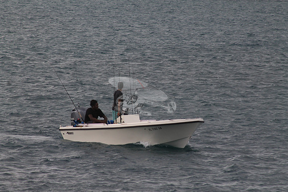 FL7102GM.04