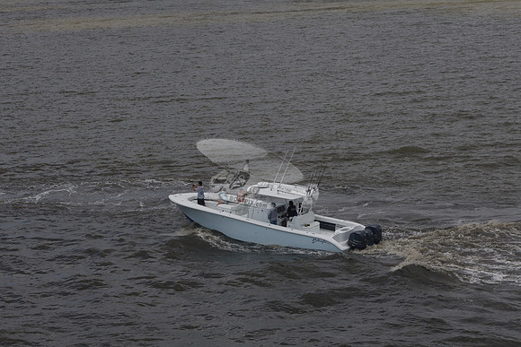 al.yellowfin.03