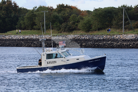 695091.poke about.sandwich ma.5343