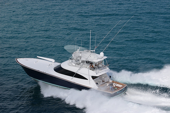 fins up.5878