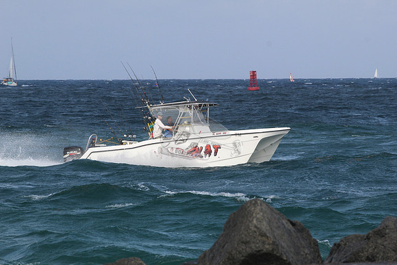fl5599mu.wild kat.1685