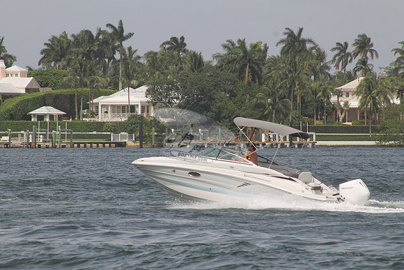 CROWNLINE.GRAY TOP.11