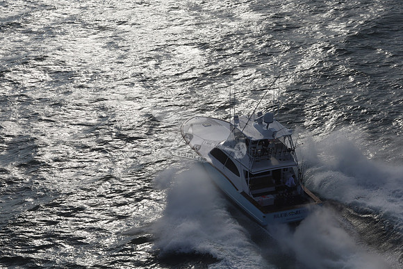 Blue Runner.0802