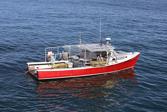 643202.DAYSTAR.5