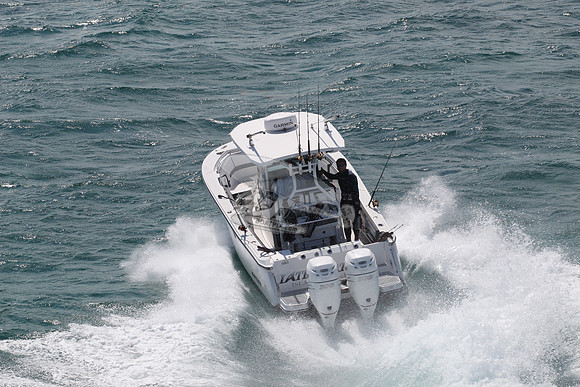 BLACKFIN.01
