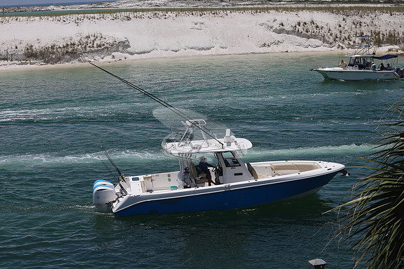 7 Shark.everglades.5