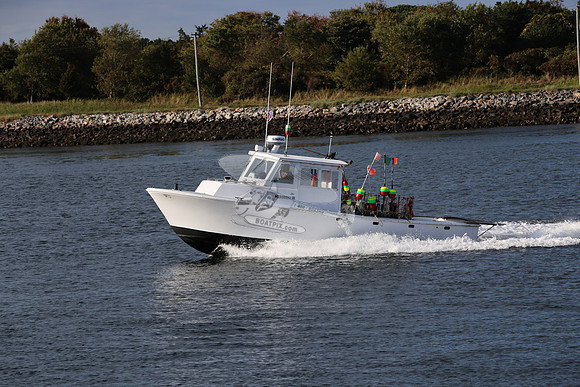 ms8866hy.04