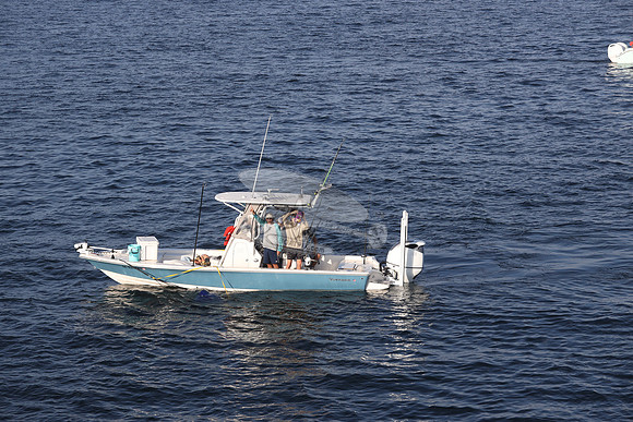 NC5378ET.355