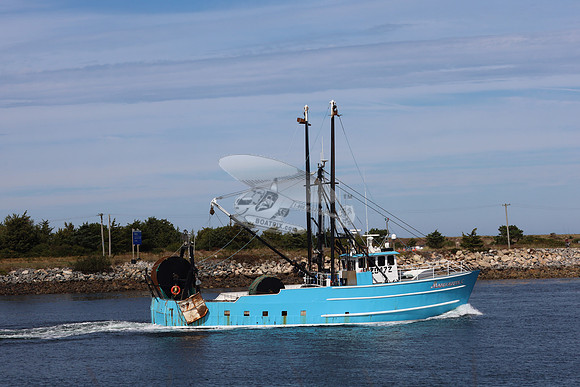 620472.marguerite c.4885