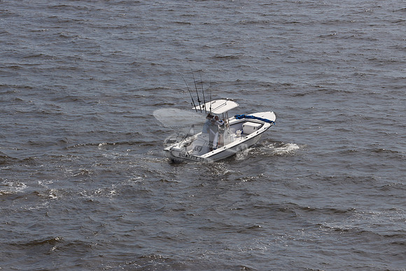 c hawk 23.honda.05