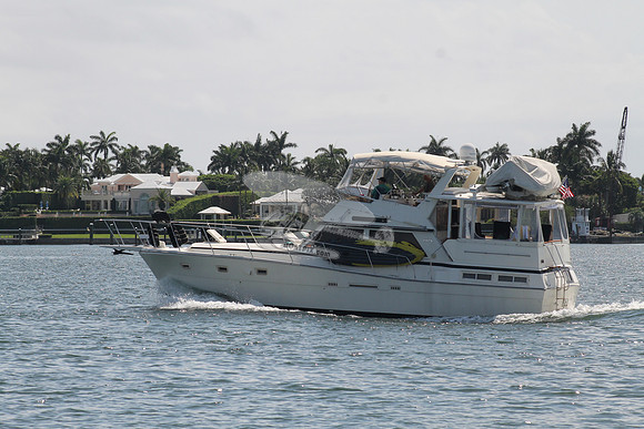 BEL DI.VIKING.7