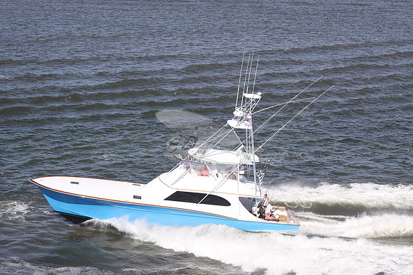 ALIBI.320