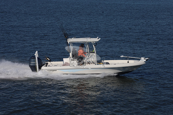 FL6885EE.9784