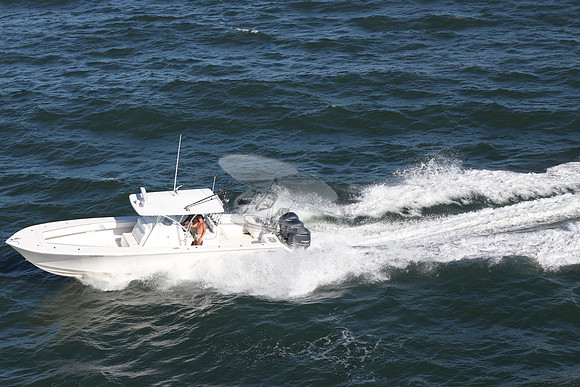 FL0193RD.31