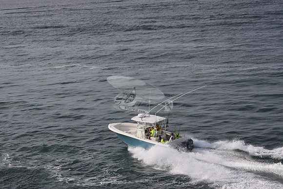 --2871ah.sailfish.blue hull.2780
