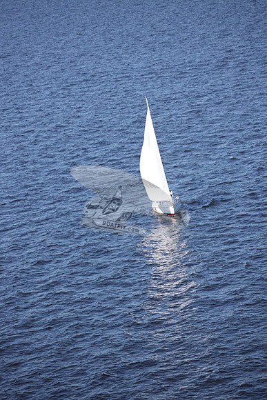 00000.FL6014SL.TAZZ.3735