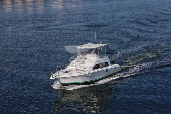 Columbo.port charlotte.1109