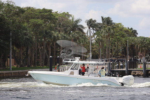 EVERGLADES36.12