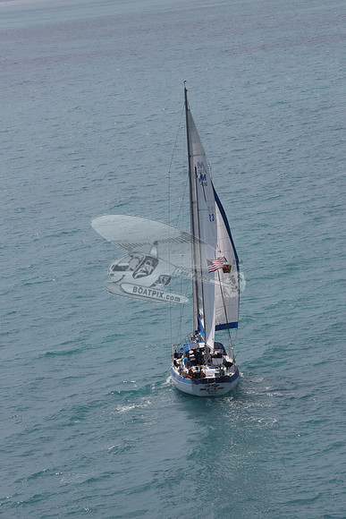 23.sea eagle.islamorada fl.3088