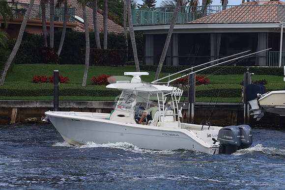 DO1295610.SEA CRITTER.08