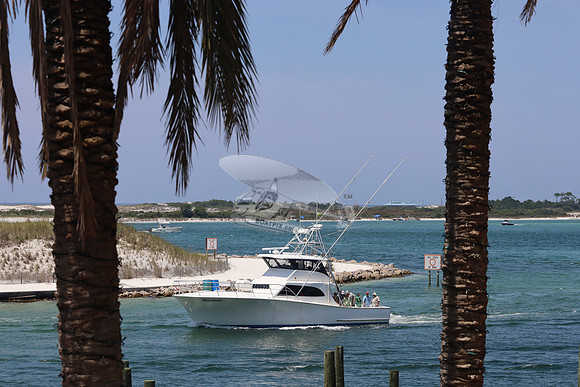 100 proof.destin.666035.1