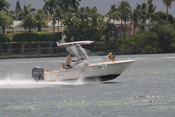 FL0786SX.06