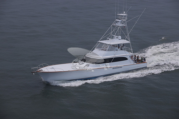 BEAST.PALM BEACH FL.095