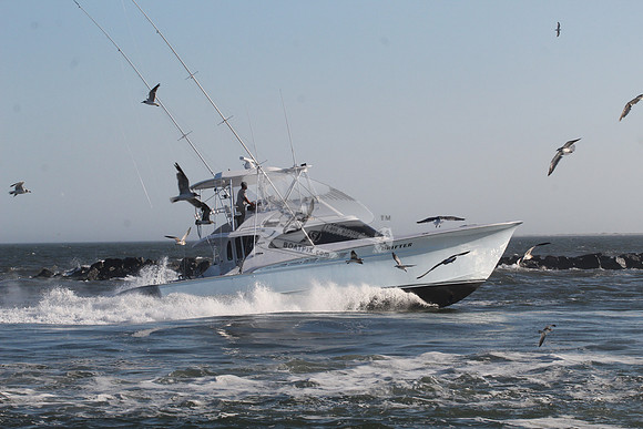 drifter.9731