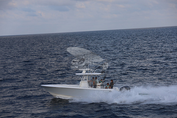 al0491rn.13