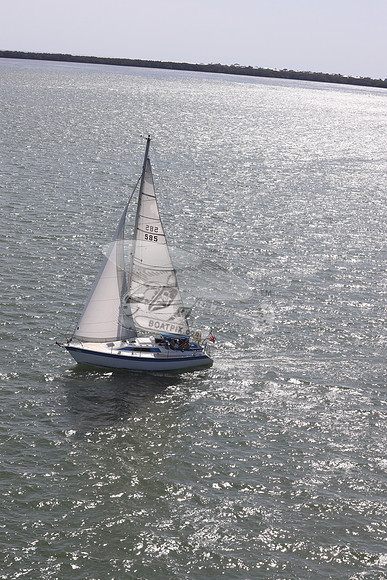 585.MS M..FL9900SM.15